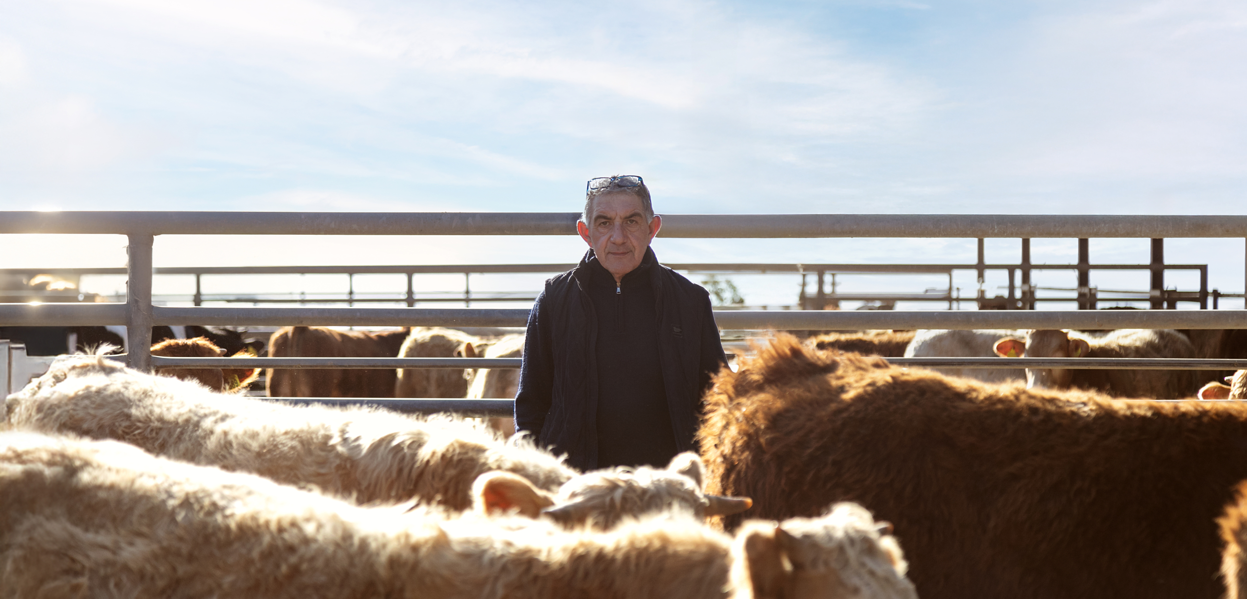 Masserie del Sole: la casa della carne di qualità