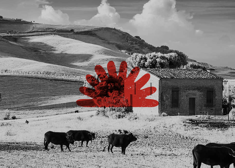 Homepage