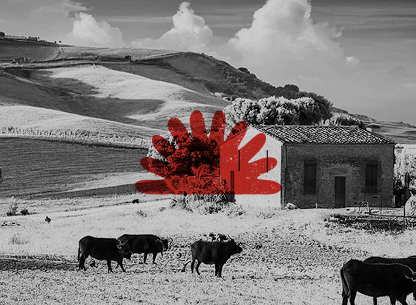 Masserie del Sole: la casa della carne di qualit&agrave;